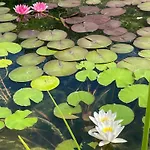 La Casa Di Alice - Casa Natura *