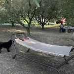 La Casa Di Alice - Casa Natura