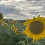 La Casa Di Alice - Casa Natura *