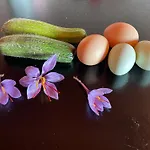 La Casa Di Alice - Casa Natura *