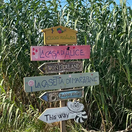 דירה La Casa Di Alice - Casa Natura *