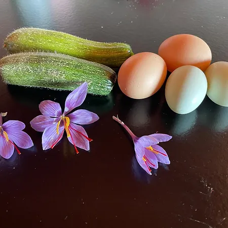 La Casa Di Alice - Casa Natura *