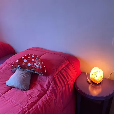 La Casa Di Alice - Casa Natura Appartamento *